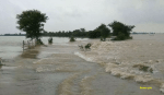 एमपी में बड़ा हादसा, अचानक आई बाढ़ में सर्वे कर रहे कई लोग बहे - image
