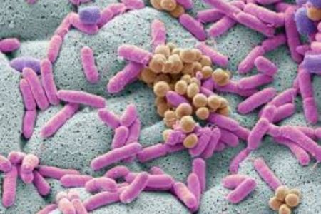 Flesh-eating bacterial virus spreading in Japan