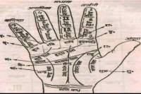 personality by hast rekha