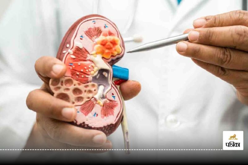 Kidney disease can be cured by reducing the salt and liquid