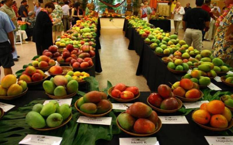Mango Festival