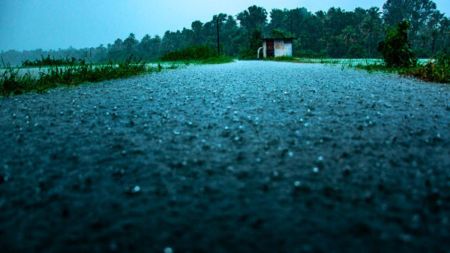mp rain