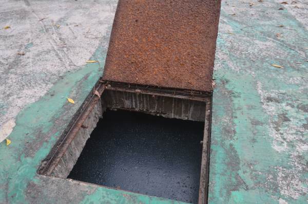 कोई ऑक्सीजन की कमी तो कोई सीवरेज का गंदा पानी तो कोई बढ़ते तापमान को कारण बता रहा है