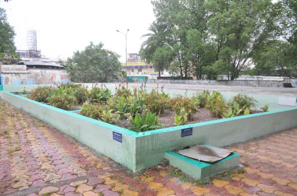 शासन-प्रशासन के अधिकारियों ने अभी तक इस समस्या का समाधान नहीं निकाला है। क्योंकि, मछलियों की रहस्यमयी मौत का कारण अभी तक पता नहीं चल पाया है। 