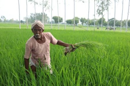 pm kisan yojana