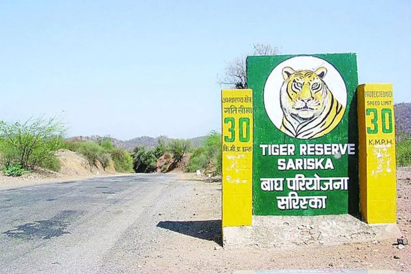 sariska tiger reserve-1