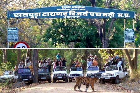 Satpura Tiger Reserve