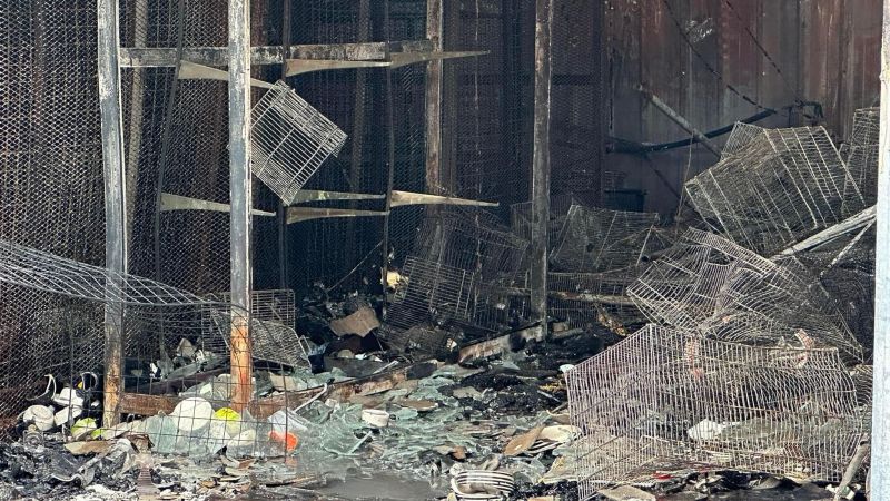 More than 1,000 animals killed after a market in Thailand caught fire