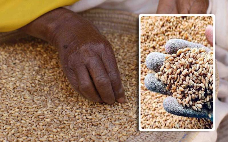 world Food Safety day