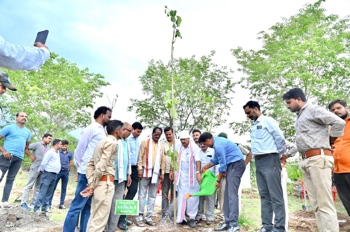 हमने शहर में 51000 पौधे लगाने का लक्ष्य रखा है: विधायक