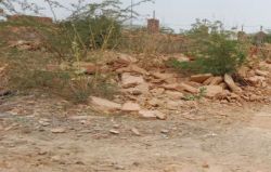 जैसलमेर में एक फुट जमीन भी बेशकीमती, बीघों पर कब्जा और बेचान - image
