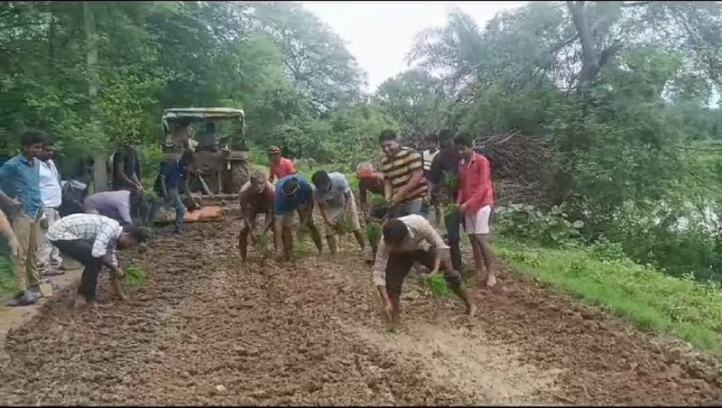 बीच सडक़ में ग्रामीणों ने रोपित की धान