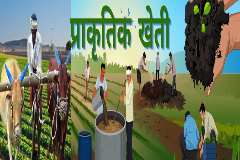 Centre of Excellence in Horticulture