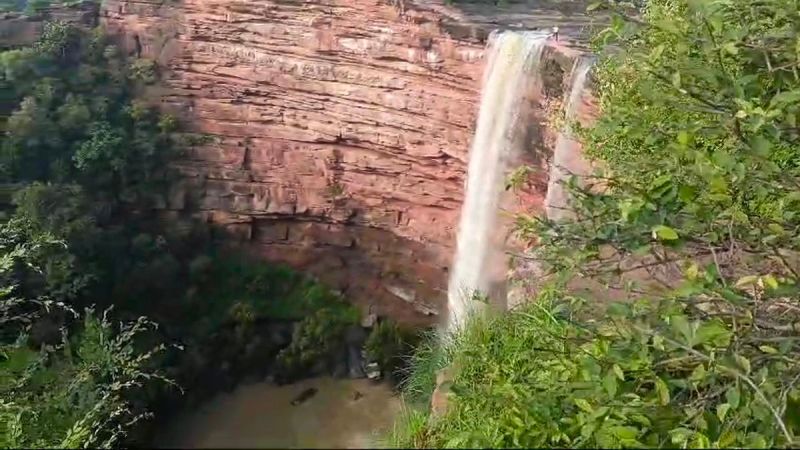 250 फीट की ऊंचाई से गिरते दमोह झरना ने पर्यटकों को किया आकर्षित Damoh waterfall falling from a height of 250 feet attracted tourists