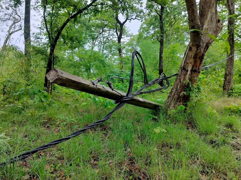 जंगल में क्षतिग्रस्त हुए कई बिजली पोल, कई हुए जमींदोज