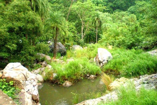 Ranthambore Tiger Reserve