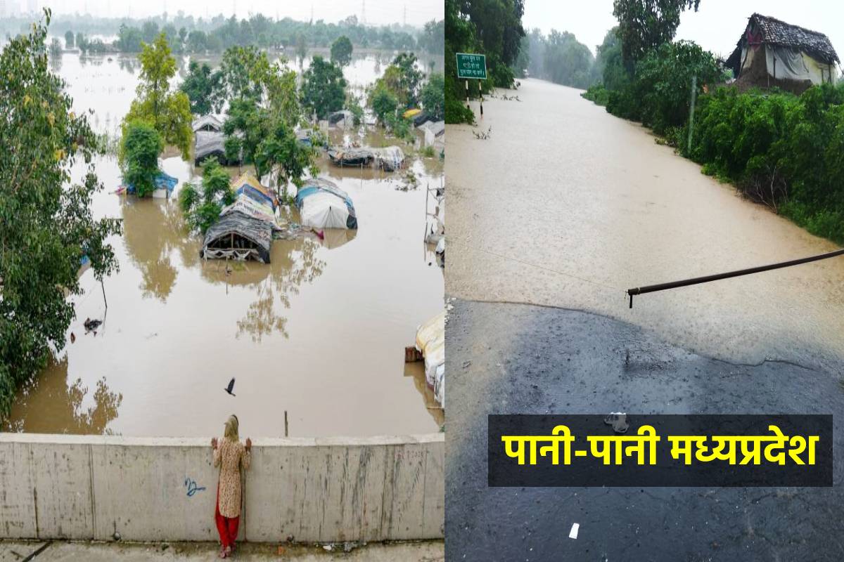 MP Flood: गांव बने टापू , गृहस्थी नष्ट…..कलेक्टर की अपील- सड़क-पुल को बिल्कुल न
करें पार