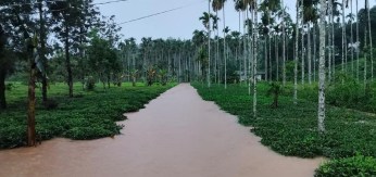 VIDEO: पंडलूर व कडलूर में आई बाढ़: 48 लोगों को सुरक्षित निकाला, आलवयल-कनियमवयल
रोड पर जाम