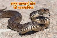 Anant kal Sarp Dosh ka vaivahik jivan par asar