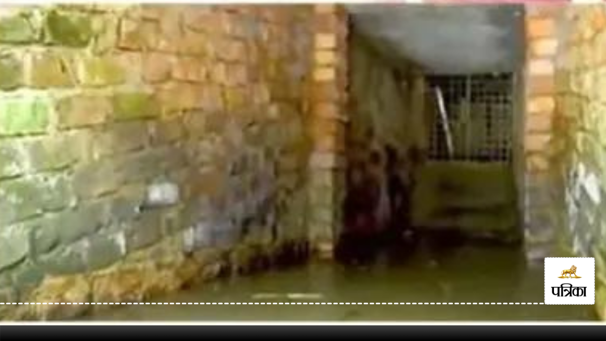Secret Tunnel in Bengal: भारत-बांग्लादेश बॉर्डर पर मिली खुफिया सुरंग, Video देख
फटी रह जाएंगी आंखें