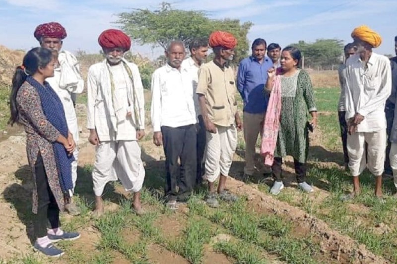 Rajasthan Bikaner Farmers will be able to Get their Kharif crops insured till 31 July notification issued
