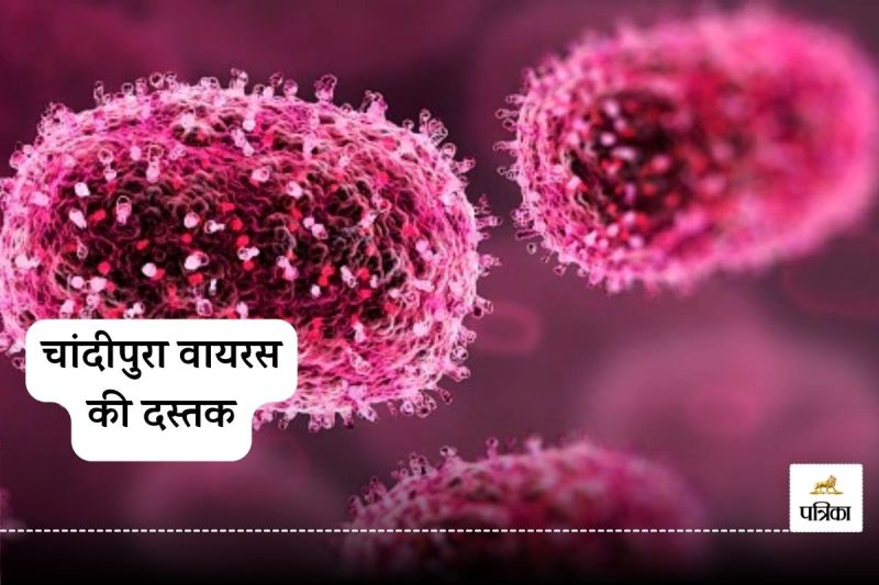 Chandipura Virus Alert