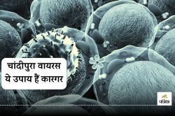 Chandipura Virus से बचाव के लिए अलर्ट, ये सावधानियां बरतें - image