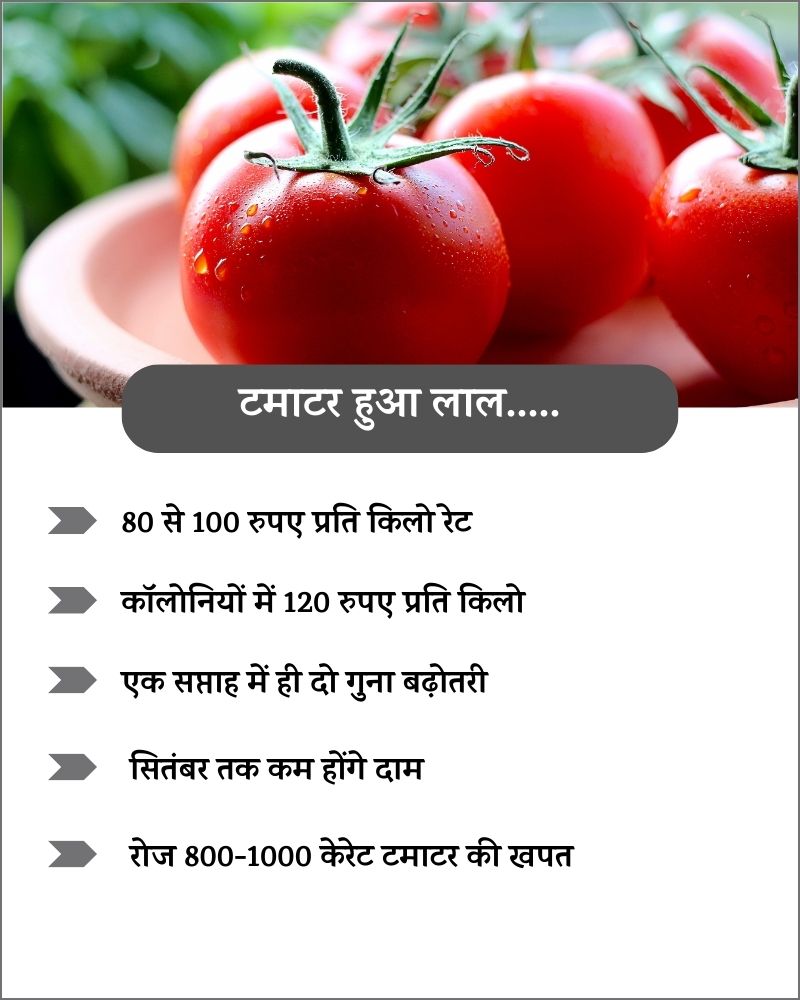 Tomato Price