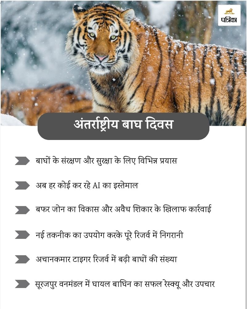 International Tiger Day 2024