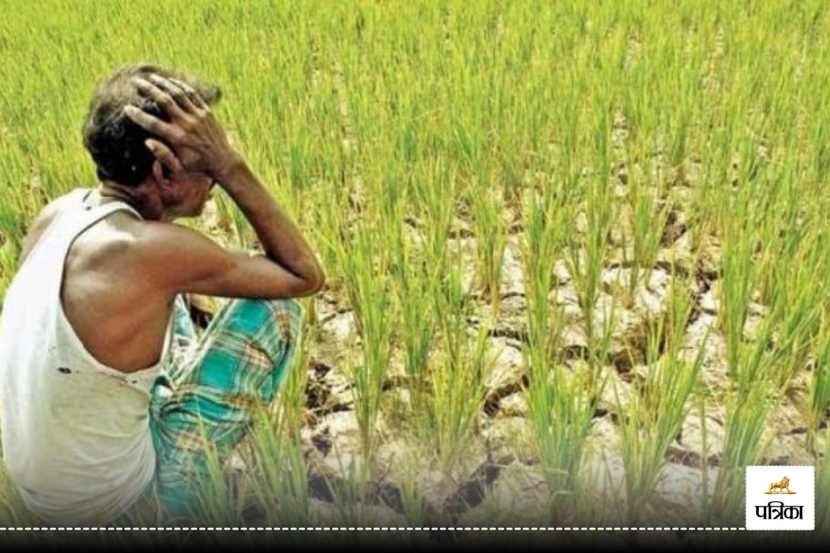 CG Farmers: गर्मियों में फसल हुए बर्बाद, मुआवजे के 150 करोड़ रुपए मंत्रालय की
फाइलों में कैद