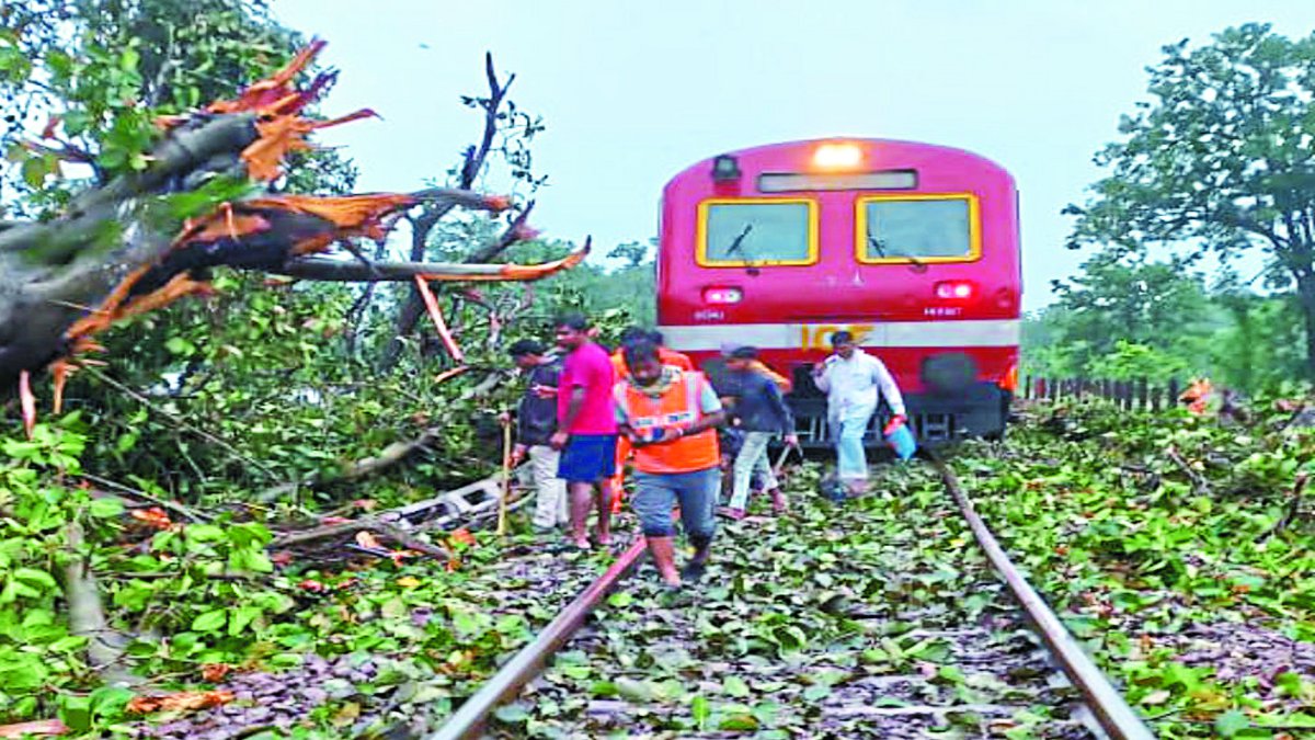 पटरी पर गिरा बरगद का बड़ा पेड़, राजहरा-अंतागढ़ ट्रेन टकरा कर हो गई डिरेल, चालक
को आई चोट