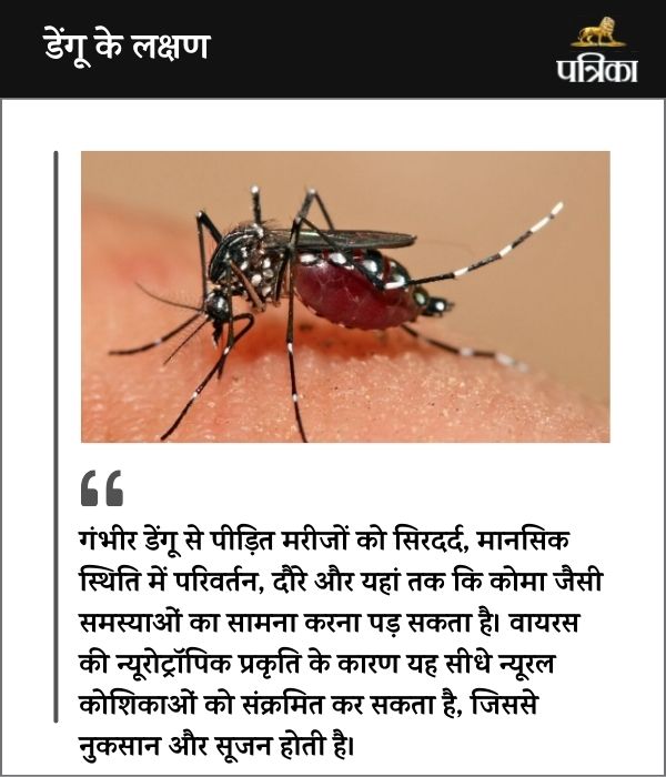 Dengue Danger: Brain & Nervous System at Risk, Warn Doctors