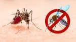 Dengue Fever : मानसून के कारण देश के कई हिस्सों में डेंगू का प्रकोप, डॉक्टरों ने
दी सावधानी बरतने की सलाह - image