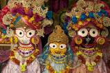 Jagannath Puri Prasad type