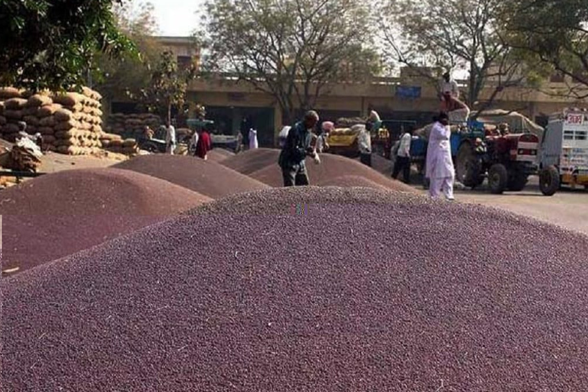 Kota Mandi Bhav : सोयाबीन व सरसों मंदा