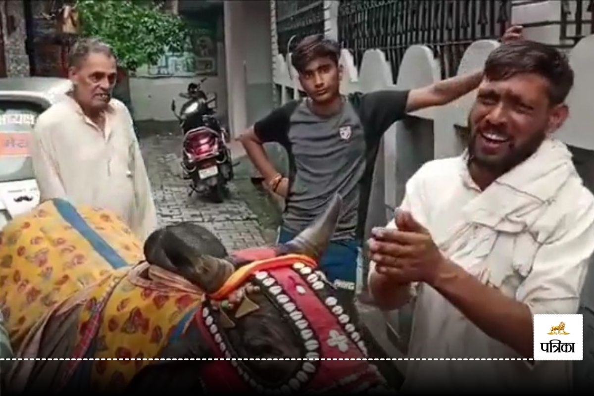 UP नंदी लेकर भिक्षा मांग रहे युवक का आधार में नाम नौशाद, हिंदू संगठनों ने पकड़ा