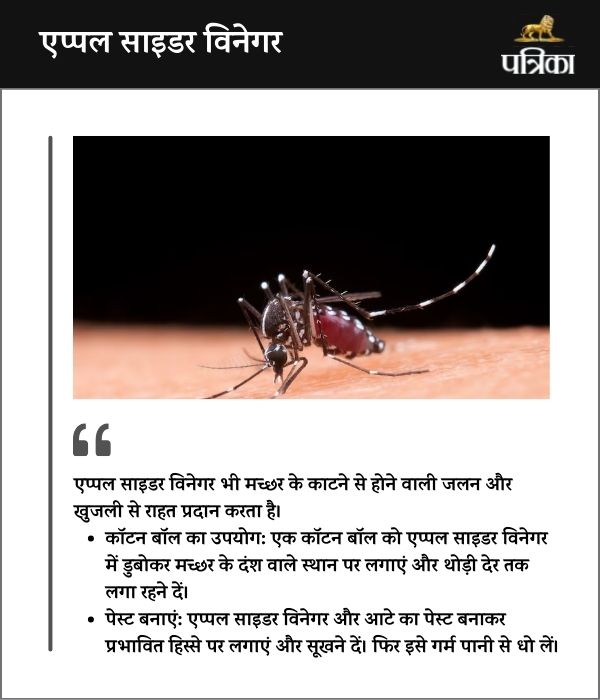 Monsoon Mosquito Surge: Tips to Relieve Itching and Burning