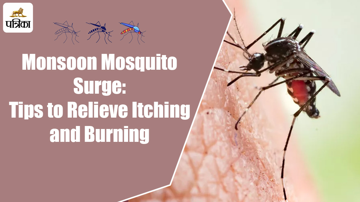 मच्छरों के काटने से छुटकारा: घरेलू उपाय जो हर घर में हैं