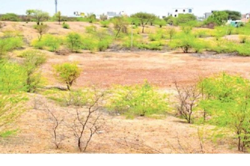 Nagaur Weather Update