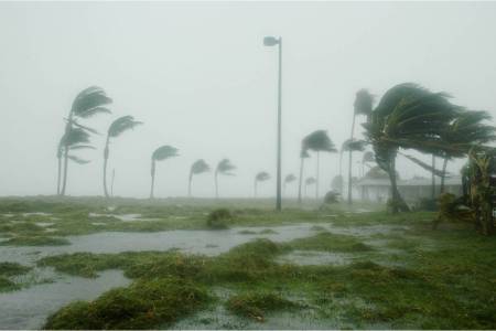Monsoon 2024