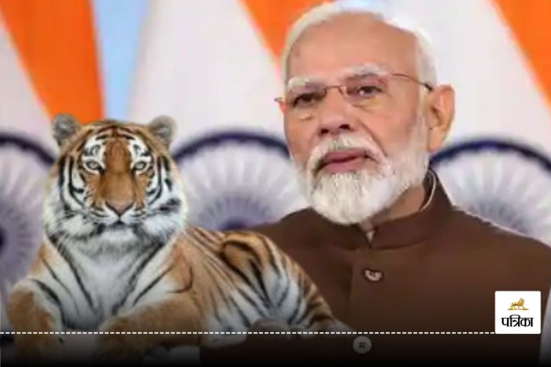 PM Modi On International Tiger Day 2024
