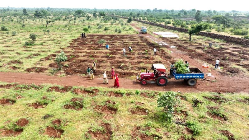 पर्यावरण की रक्षा के लिए लगाए डेढ़ लाख पौधे