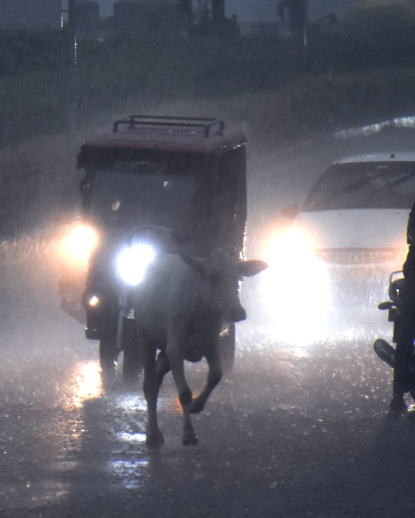 rain in Bhopal
