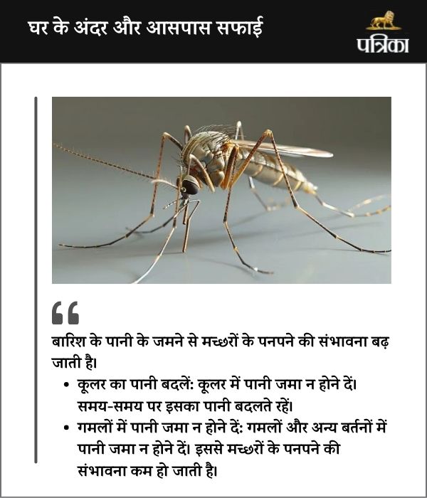 Mosquitoes Breed in Rainwater