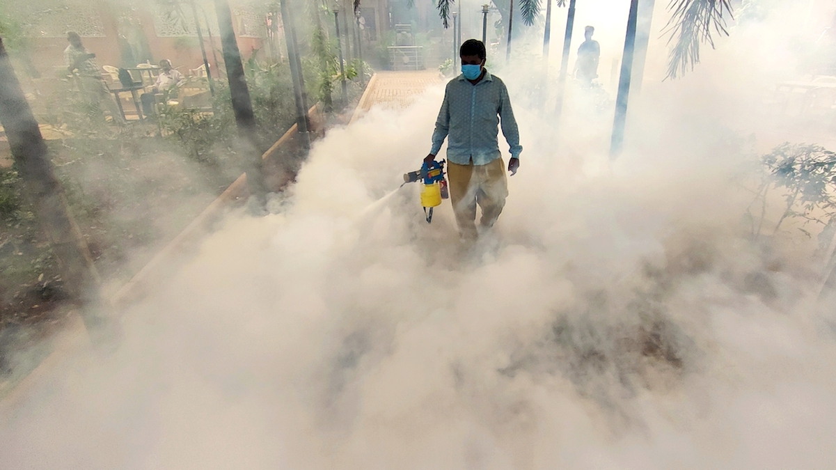 PHOTO मच्‍छरों के बढ़ते प्रकोप और डेंगू से निपटने की कवायद युद्धस्‍तर पर जारी