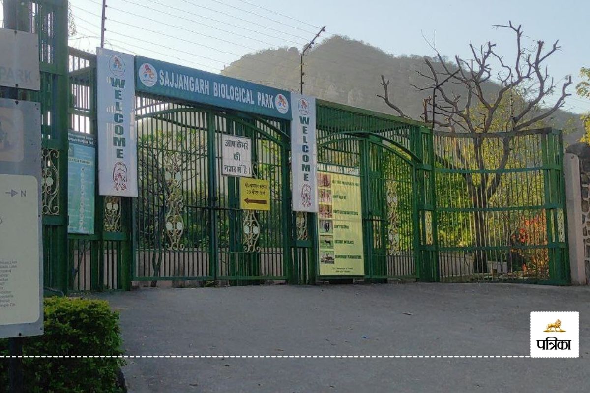 Rajasthan Sajjangarh Biological Park Seen 2 Giraffes Enclosure Built at 2 Crores Cost