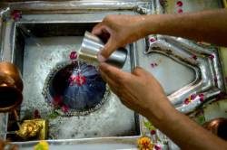 शिवलिंग पर चढ़ाया प्रसाद घर ले जाना चाहिए या नहीं, शिव पुराण से जानें शिवजी का
प्रसाद खाने का नियम - image