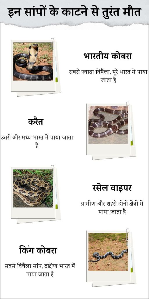 Most poisonous snakes in India 