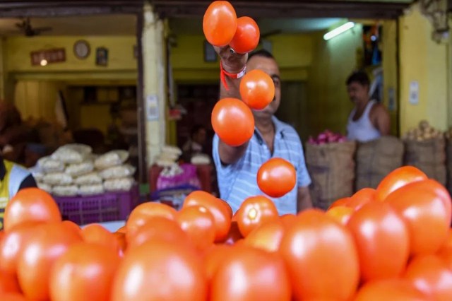  Lucknow Tomato Price