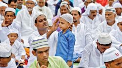 Muslim: क्या आप जानते हैं उत्तर प्रदेश में सबसे ज्यादा मुस्लिम आबादी वाले टॉप 5
जिले कौन से हैं? देखें लिस्ट - image